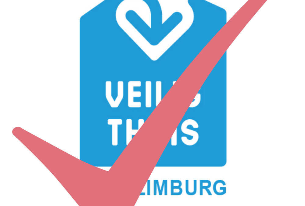 Veilig Thuis Zuid-Limburg: Denk mee over hoe we jongeren het beste kunnen bereiken!